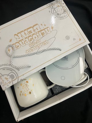 Taza Aerospace Bear con Calentador