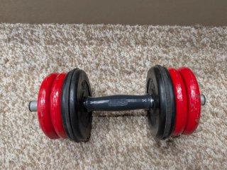 Mancuerna SALTER 6kg con cierres