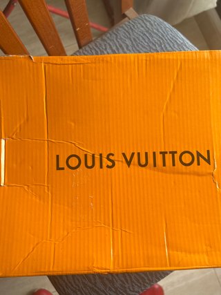 Zapatillas Louis Vuitton