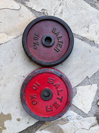 2 Discos de Hierro Salter 10kg