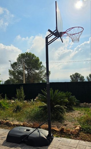 Canasta LIFETIME 90001 regulable 244-305 cm