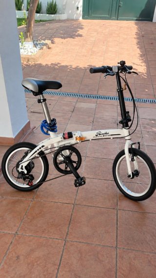 Bicicleta plegable Riscko Super Bike 16
