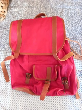 Mochila de Cuero roja.