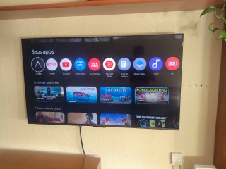 Smart TV TCL 55 pulgadas.