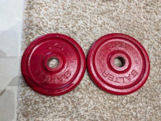 2 discos pesas SALTER 3KG agujero 30mm