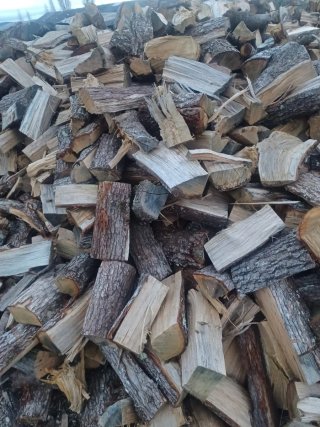 Se vende leña seca