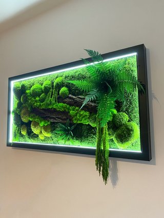 Cuadro Vegetal con Iluminación LED