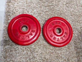 2 discos pesas SALTER 3KG (agujero 30mm)