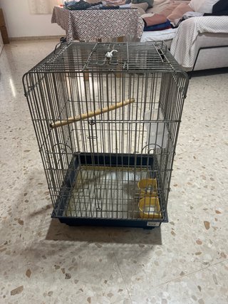 Jaula para loro gris