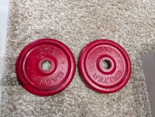 2 discos SALTER 3KG (agujero 30mm)