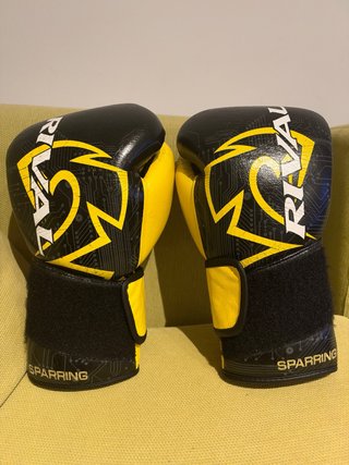 Guantes de Boxeo Rival Guerrero RFX HDE-F