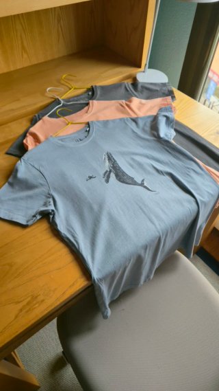 Lote 3 Camisetas La Nansa