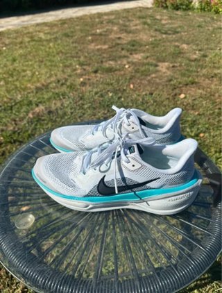 Zapatillas Nike Pegasus 41 Talla 39