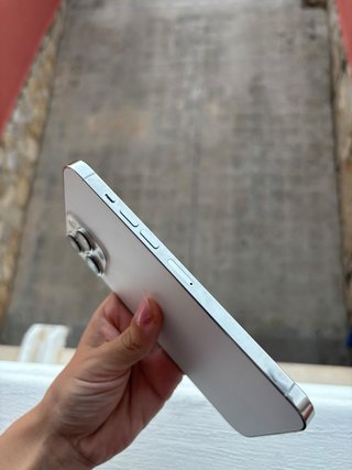 iPhone 13 Pro Max Argento