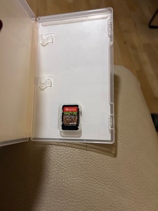 Minecraft Nintendo Switch