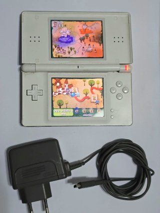 Console Nintendo DS Bianca (LEGGERE)