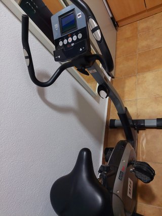 Bicicleta Estática BH Artic Dual