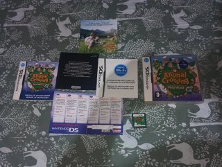 Animal Crossing Wild World per Nintendo DS