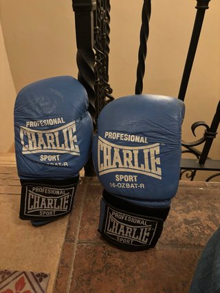 Guantes de Boxeo Charlie 16oz