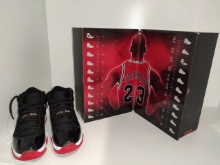 Air Jordan 11 Countdown Pack 2008- coleccionista