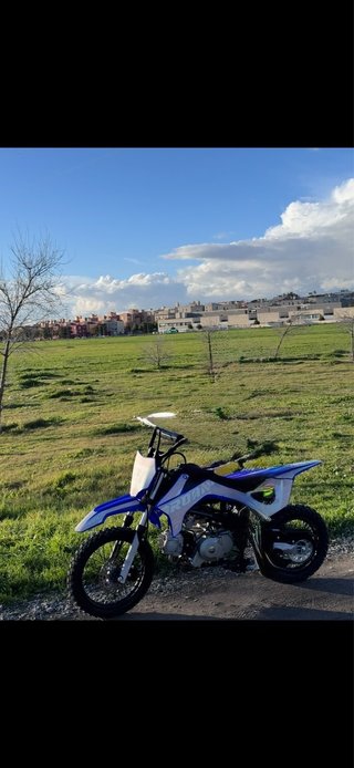 Apollo Orion Pit Bike