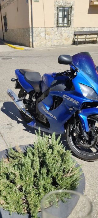 Moto Honda CBR Azul