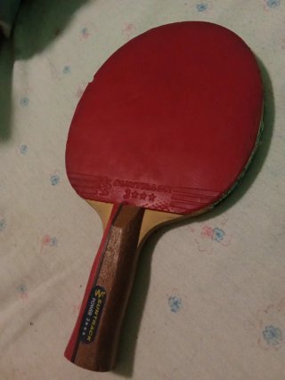 Raqueta de Ping Pong Suntrack 3 Estrellas