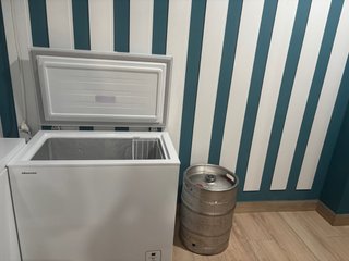Arcón Congelador Hisense Dual