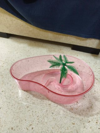 Pecera para tortuga rosa