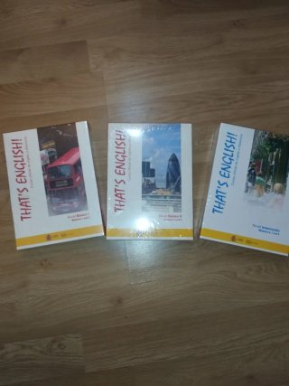 Lote de curso de inglés a distancia