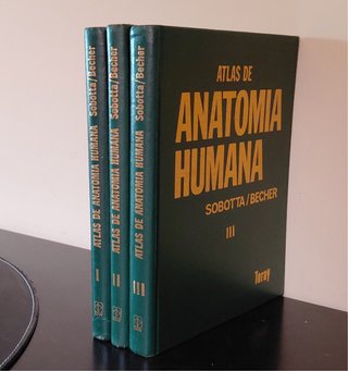 Atlas de Anatomia Humana I II y III