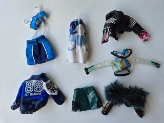 Lote Ropa Muñeca Rainbow High