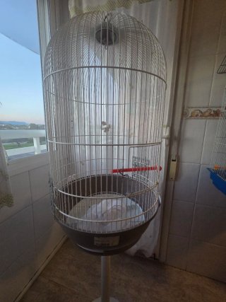 Jaula para pájaros de pie