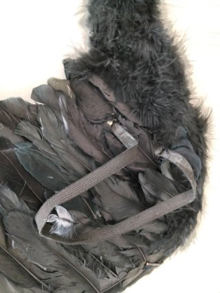 Alas de plumas negras