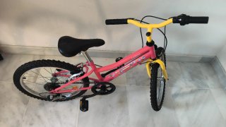 Bicicleta Órbita 20 pulgadas Se regalan ruedines.