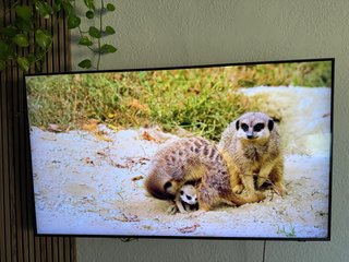 TV Samsung QLED 4K 55 Q60D (2024)