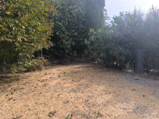 Se vende parcela rustica en Lucena. 750 m/2.