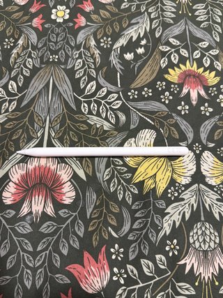 Apple Pencil