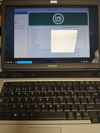 Toshiba Satellite L300