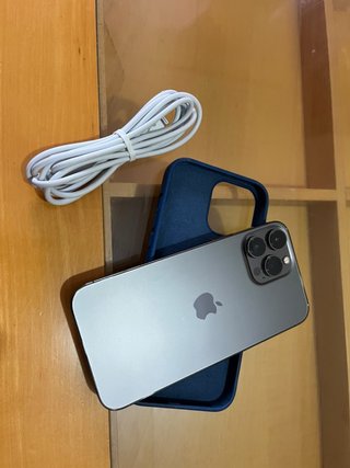 iPhone 13 Pro Max Gris