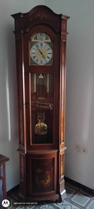 Reloj de pie de madera de tipo Tempus Fugit
