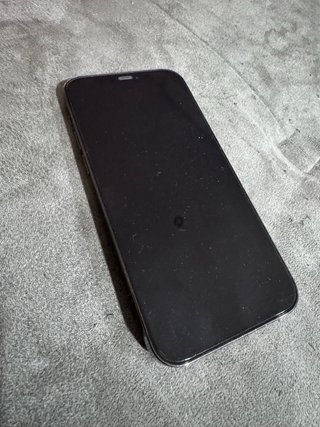 iPhone 12 Pro 128GB Gris