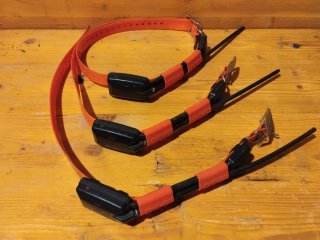 2 Collares Dogtrace X20