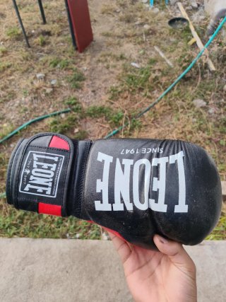 Guantes de boxeo Leone Since 1947