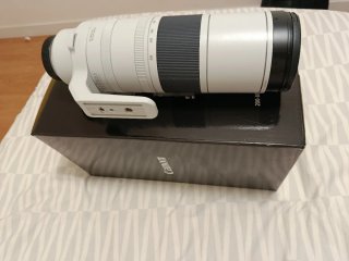 Objetivo Canon RF 200-800mm