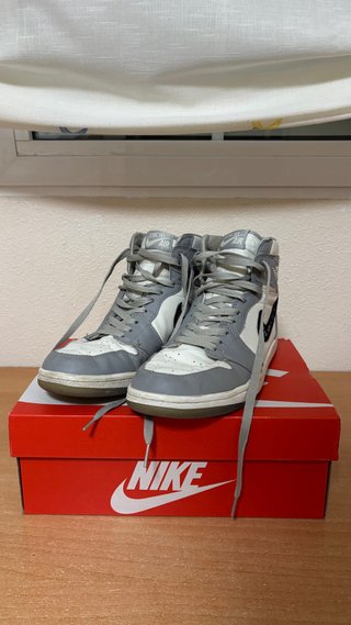 Nike Air Jordan 1 Dior Gris Blanco