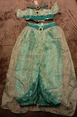 Disfraz de Princesa Jasmine adulto M