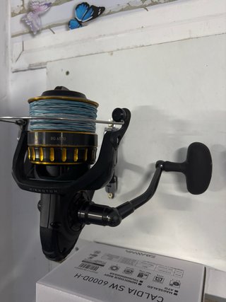 Carrete Daiwa BG 6500