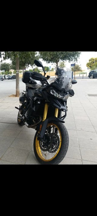 Voge 900 DSX Negra y Dorada