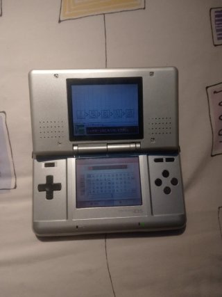 Nintendo DS Fat Gris